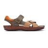 Castor